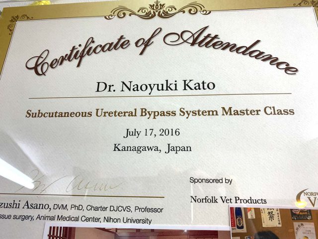 SUB System Master Class修了書